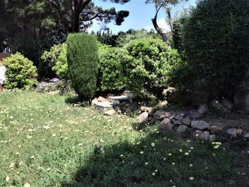Villa Flamenco