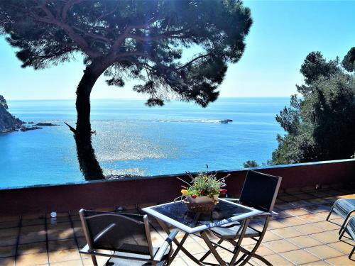 Villa Loft Kiwi
