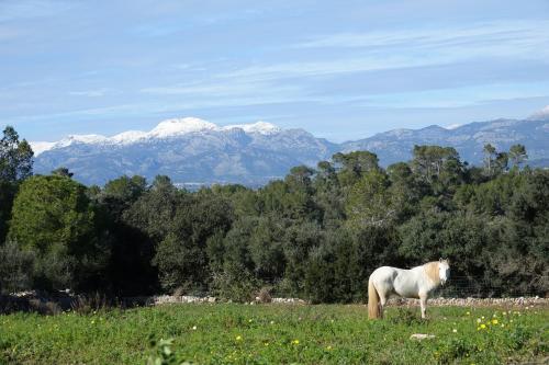 Lodge Son Aloui Mallorca