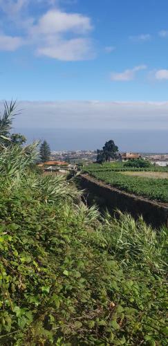 Holiday Home Camino Montijo