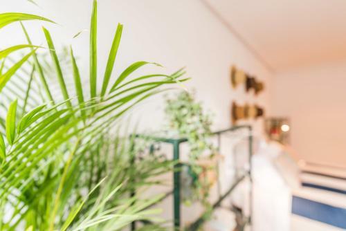 Apartamento Santa Ana Star