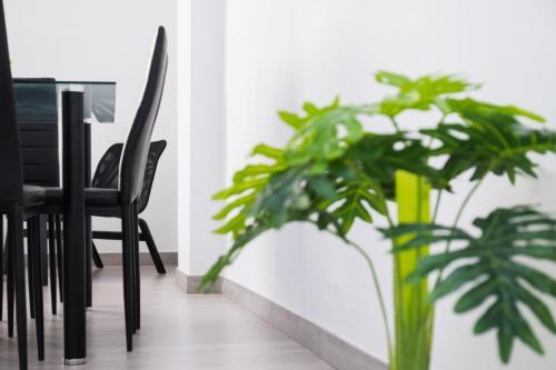 Apartamento Wonderful Malaga Centre 3 Bedrooms Flat