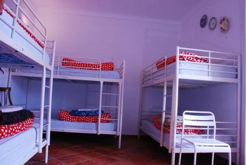 Bed & Breakfast Hostel Patio 19