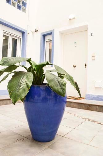 P&p Apartmens Alamos