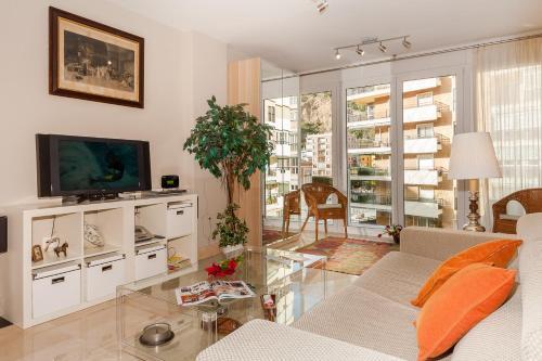 One-bedrom Apartment Maestranza
