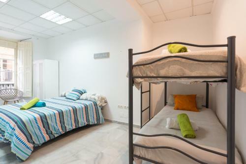 Apartamento Larios Centro Historico Parking Gratis