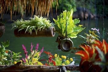 Hotel River Kwai Jungle Raft