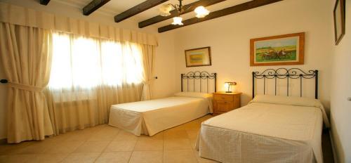 Pedregal