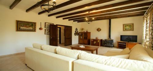 Pedregal
