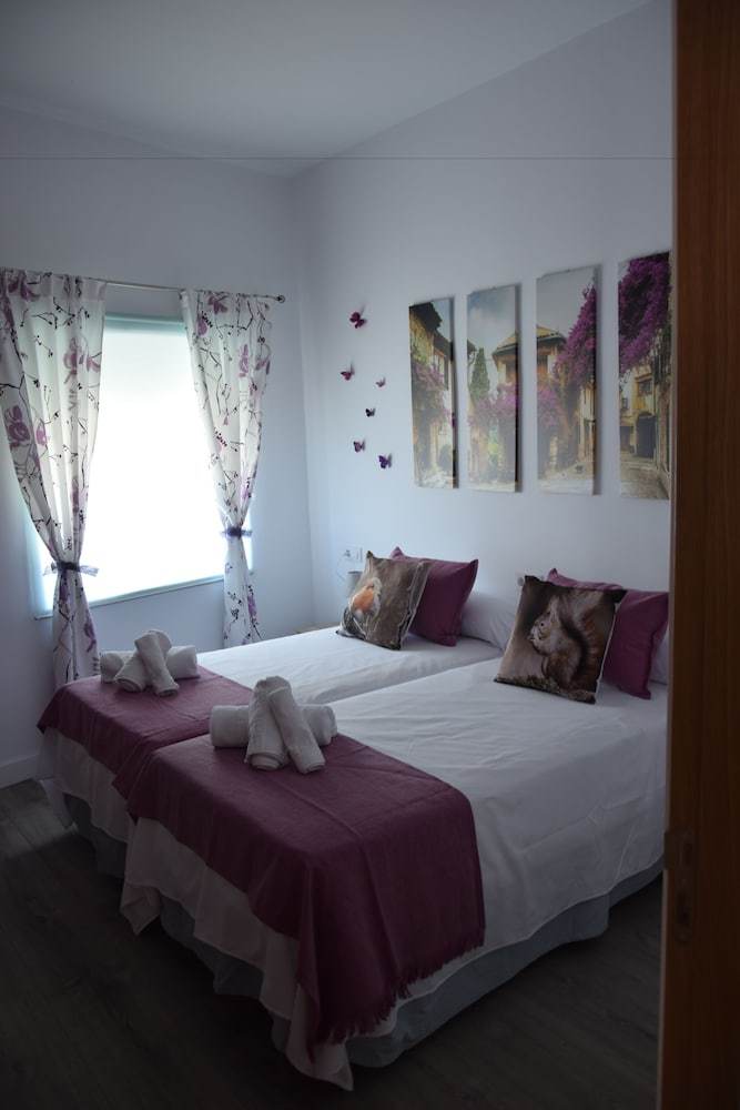 Apartamentos Coso De San Albin