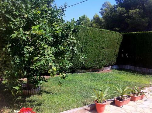 Meddays Villa Aurelia