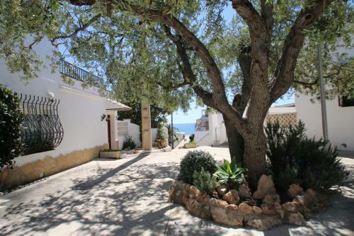 Apartamento Casas Blancas 42