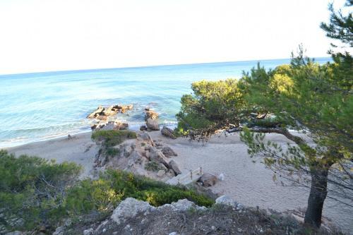 Apartamento Wvp - Llanca