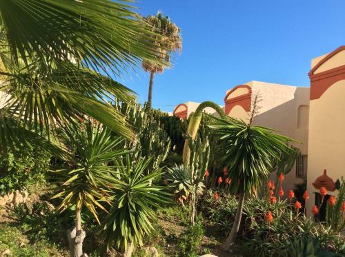 Apartamento Mijas Costa , Caronte - 34b1