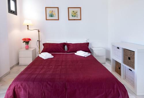 Apartamento Penthouse With Roof Solarium