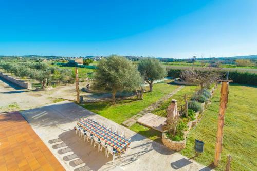Villa Son Pujol (negundo)