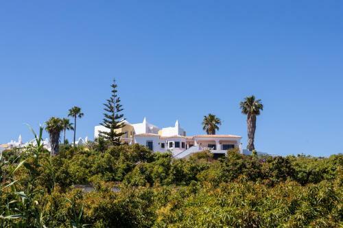 Villa Artemisia