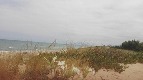 Holiday Home Carrer D'avinyo