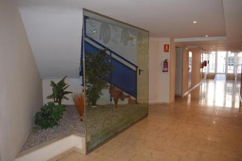 Apartamento Ap444