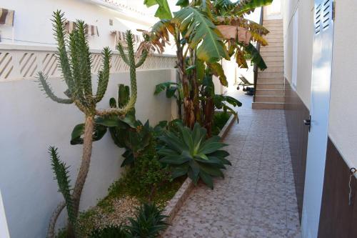 Apartamento Ap222