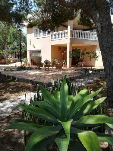 Villa Premium