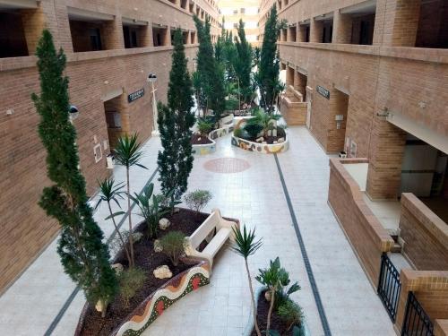 Apartamento Acv - Torremar-2� L�nea Planta 1 Sur