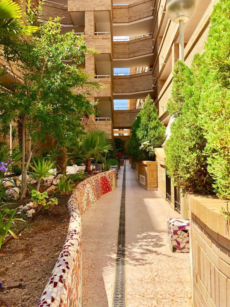 Marina D�or Asequible Apartamento