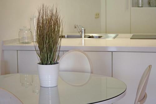 Apartament En Pla�a Nova 2, Palafrugell