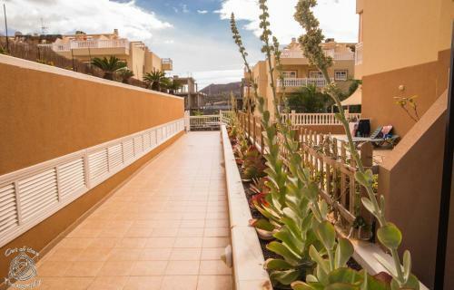 Apartment In Palm Mar Pm/195