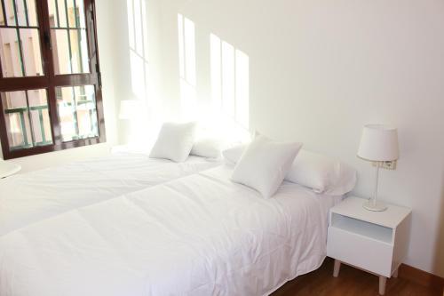 Apartaments Plaza Pr�ncipe Viana