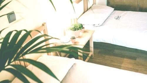 Villa Calle Begonia