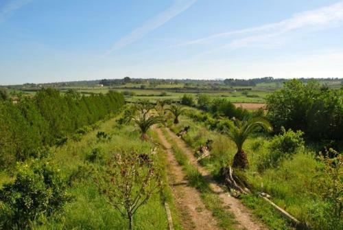 Villa Es Vinyet By Priority