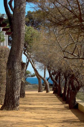 Apartamento Cavall Bernat Platja D'aro