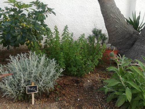 Hostal Art Villa S'agar� A 1000 M De La Playa