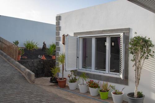 Seashells Apartment