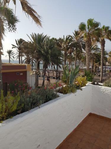 Apartamento Vila Lavanda