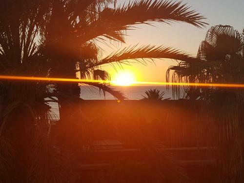 Apartamento Vila Lavanda