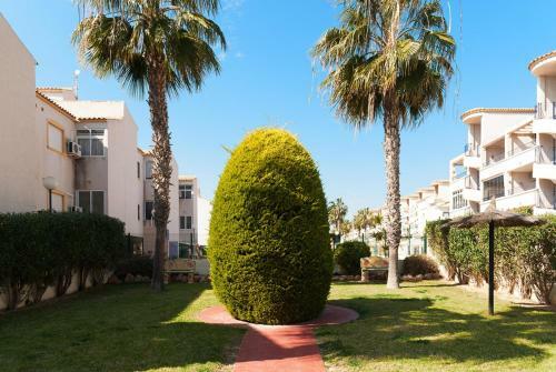 Apartamento La Cinuelica 3001