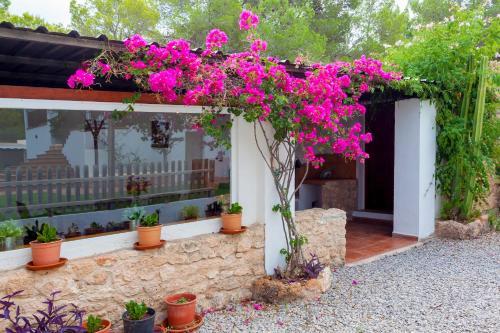 Villa Esgueva