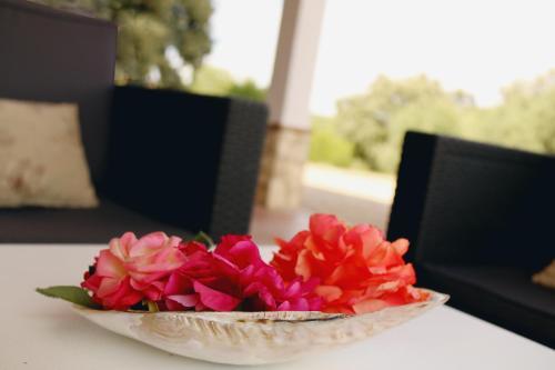 Agroturismo La Sierrezuela