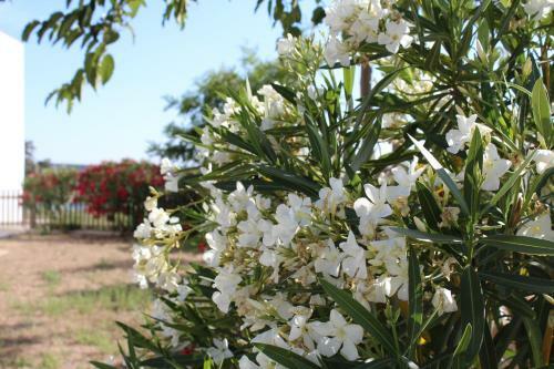 Agroturismo Cortijo La Panadera
