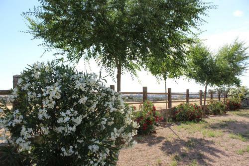 Agroturismo Cortijo La Panadera