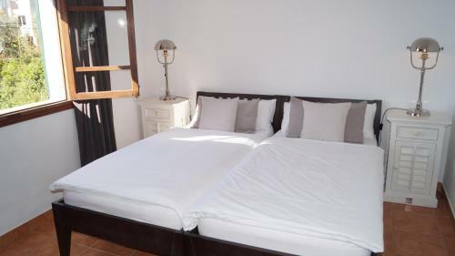 Bed & Breakfast Hostal Villa Primavera