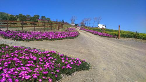 Agroturismo Biznaga