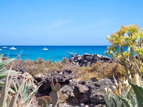 Estrella De Mar