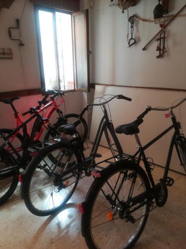 Hostal La Campi�a