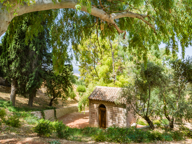 Hotel Cortijo La Organic