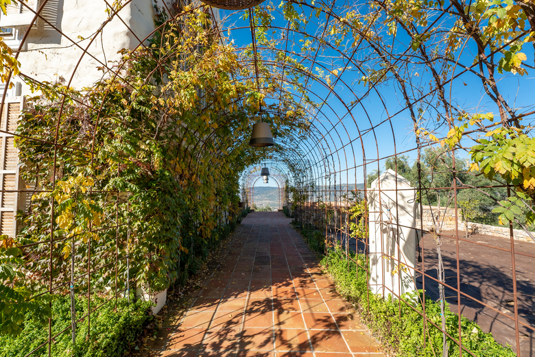 Hotel Cortijo La Organic