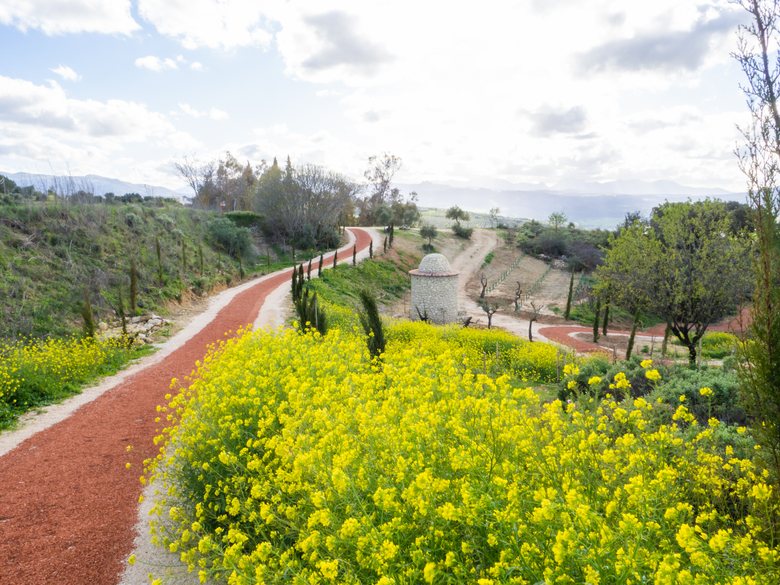 Hotel Cortijo La Organic