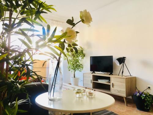 Apartamento Evahome Roquetas